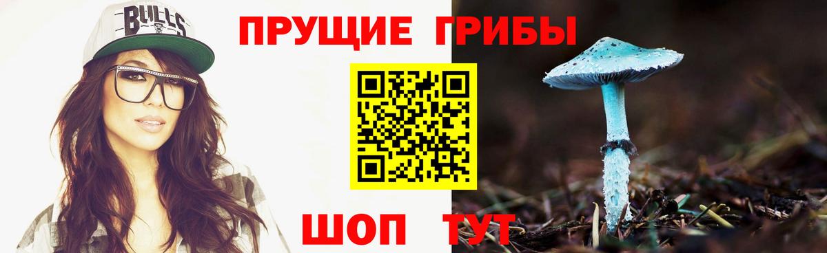 Псилоцибиновые грибы ЛСД  Псилоцибиновые грибы Psilocybine cubensis  Вход с VPN  Кострома 